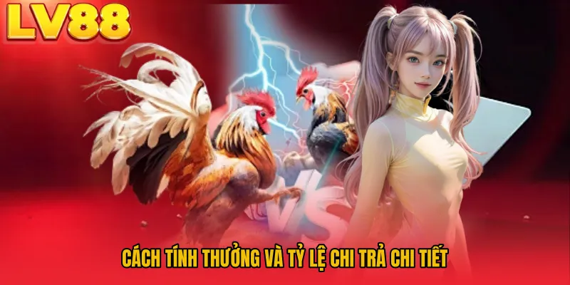 Cách tính thưởng và tỷ lệ chi trả chi tiết