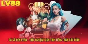 Đá Gà Đen LV88 - Trải Nghiệm Kịch Tính Từng Trận Đấu Đỉnh