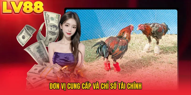 Đơn vị cung cấp và chỉ số tài chính