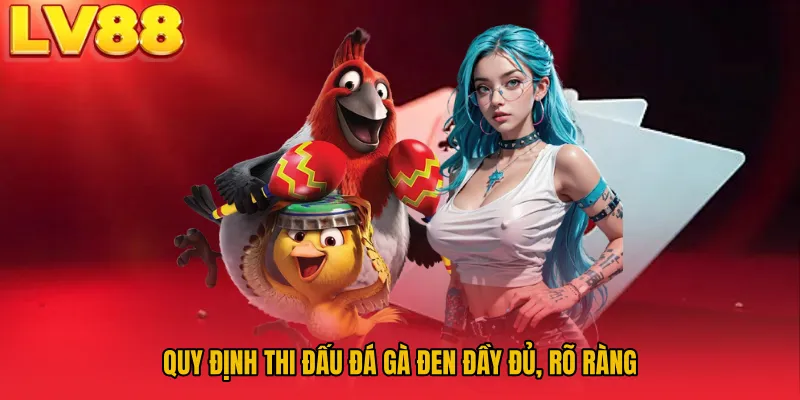 Quy định thi đấu đá gà đen đầy đủ, rõ ràng
