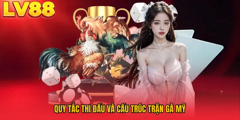 Quy tắc thi đấu và cấu trúc trận gà Mỹ